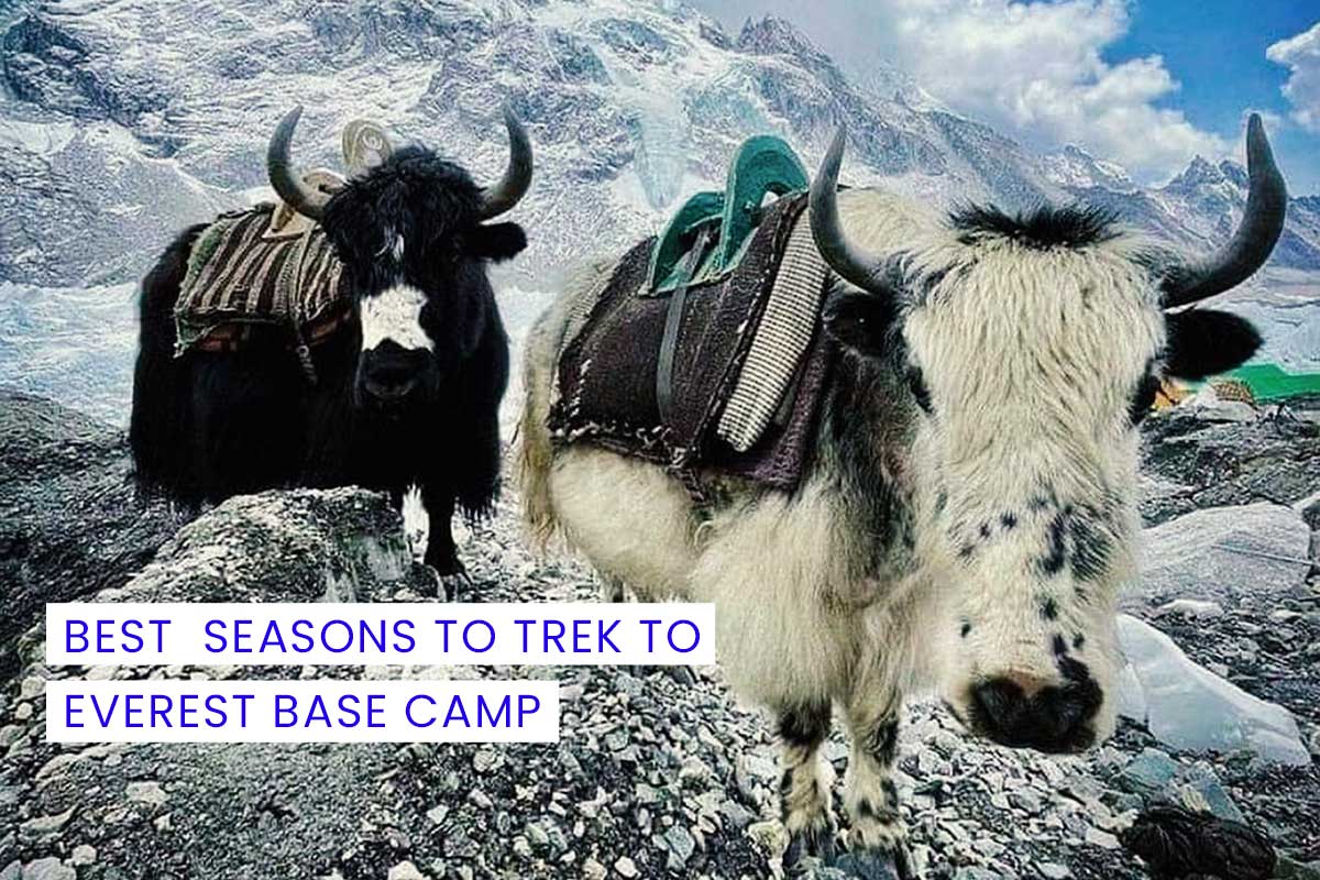 Best Seasons to Trek to Everest Base Camp
