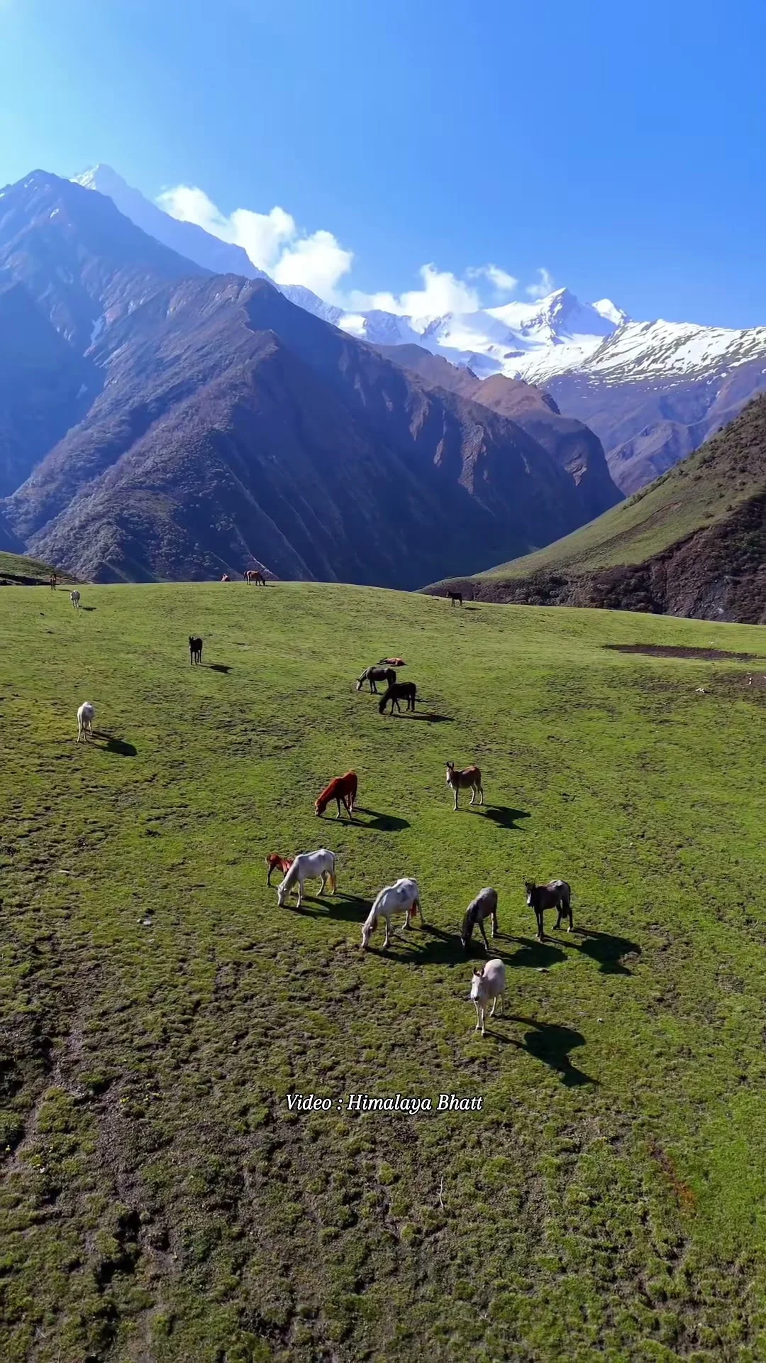 Nepal Trekking Food Guide 2026 — Nepal