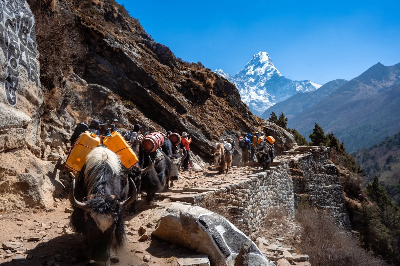 Mount Everest and Ama Dablam seen on the Everest View Trek in the Khumbu