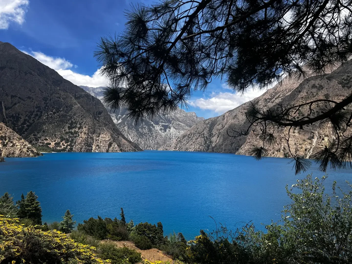 Nepal White — Nepal