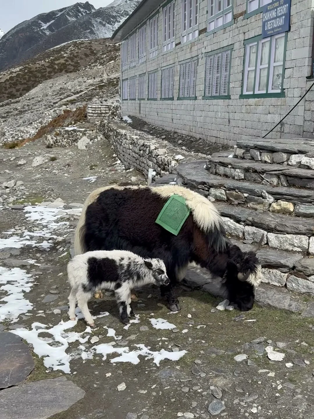Everest Base Camp Trek in October 2026 — Nepal