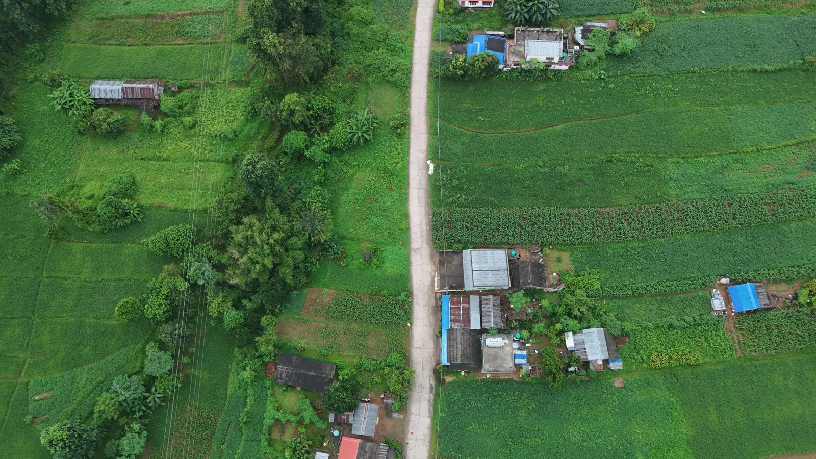 Aerial view of lush green fields and rural homes in the Nepali countryside.
