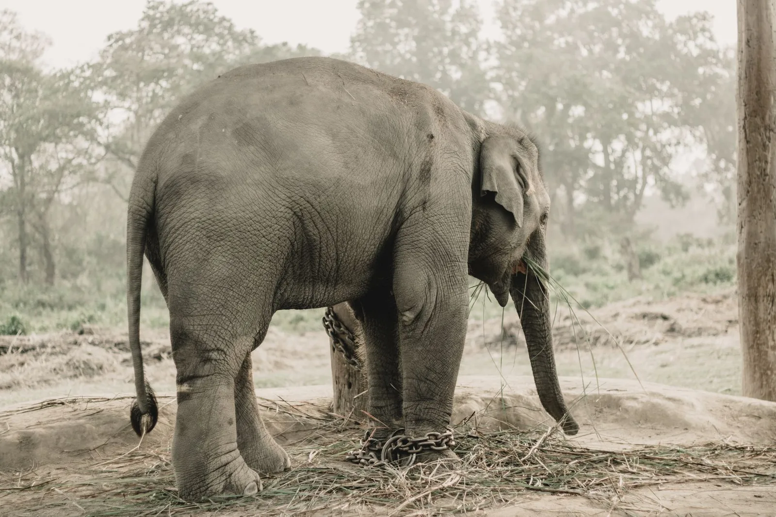 Bardia National Park Safari — 4 Days