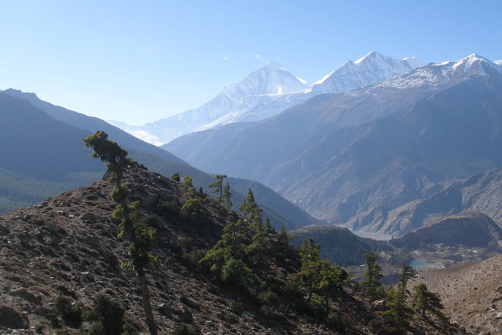 Dhaulagiri Base Camp Trek — 13 Days — photo 3