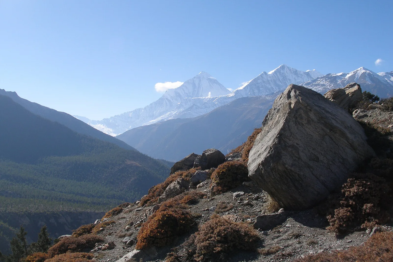 Dhaulagiri Base Camp Trek — 13 Days — photo 4