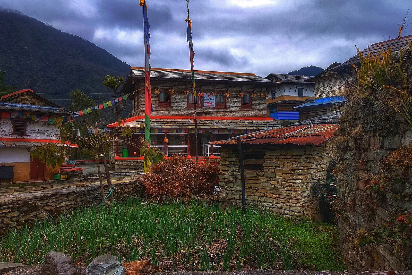 Ghandruk Village Trek — 3 Days — photo 4