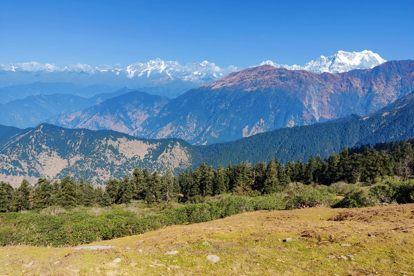 Khaptad National Park trek — far-west Nepal's grassland plateau, meadows and Khaptad Baba ashram