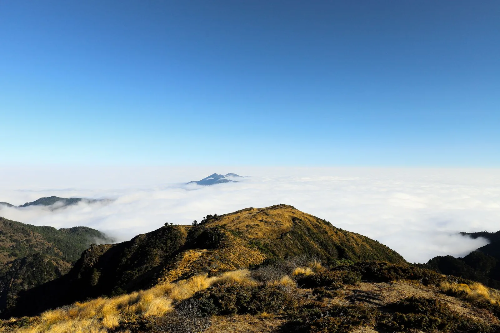 Khumai Danda Trek — 5 Days — photo 4
