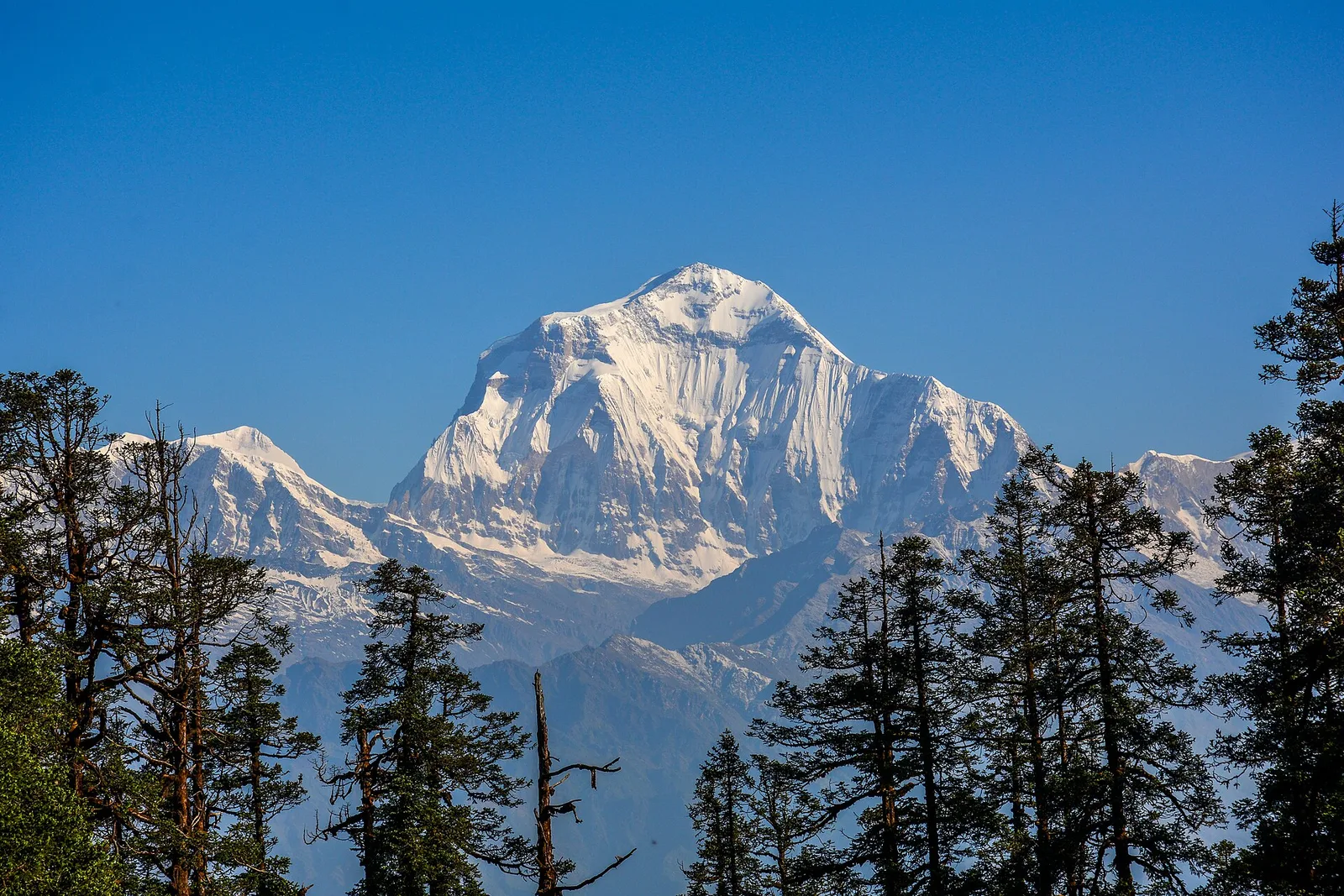 Mohare Danda Trek — 6 Days — photo 2