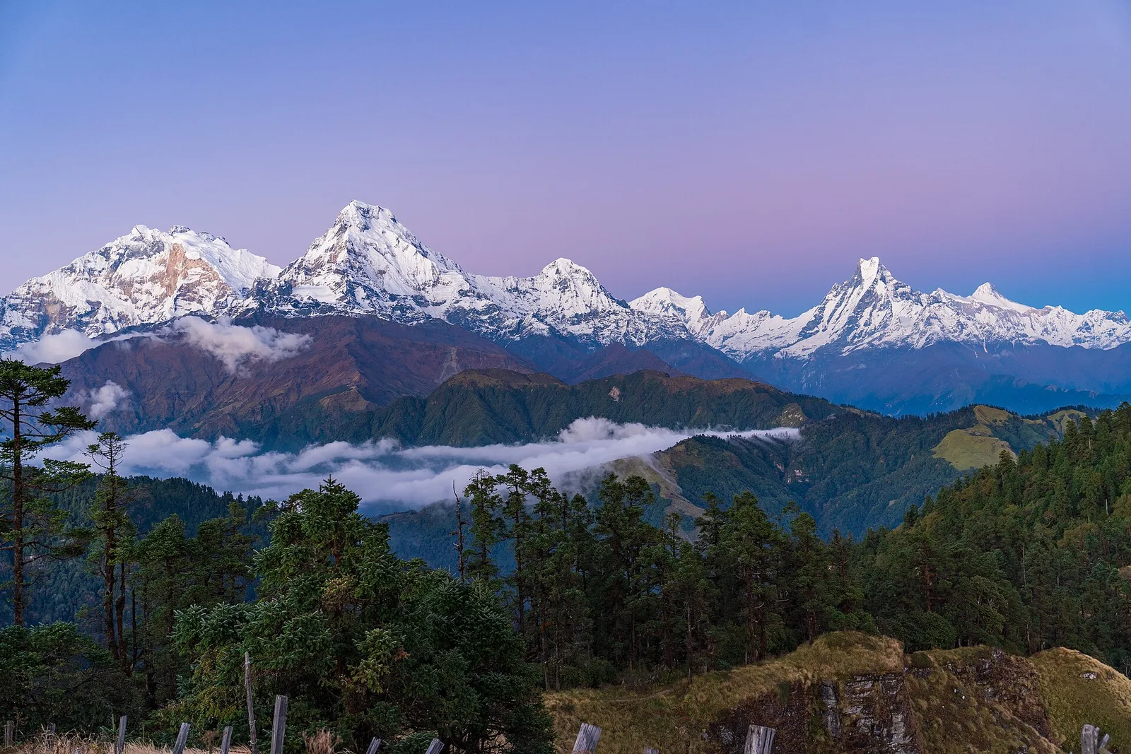 Mohare Danda Trek — 6 Days — photo 4