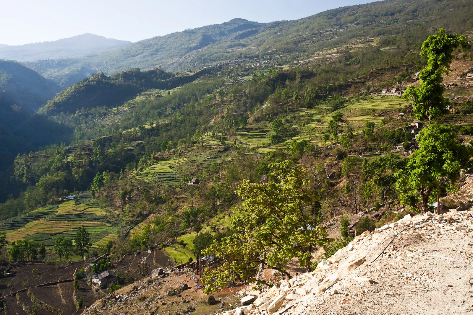 Nepal Family Trek — 8 Days Kathmandu + Poon Hill