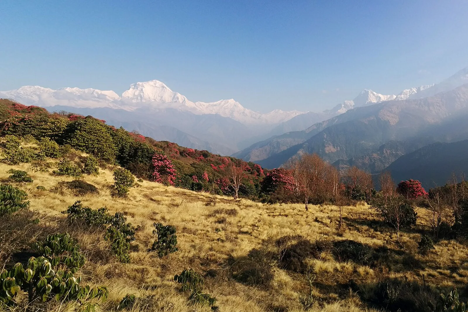 尼泊尔家庭徒步 — 8 天 加德满都 + 普恩山 — photo 3